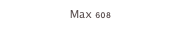 Max 608