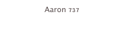 Aaron 737