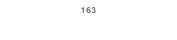163