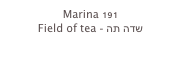 Marina 191
Field of tea - שדה תה