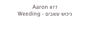Aaron 877
Weeding - ניכוש עשבים