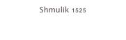 Shmulik 1525