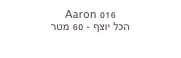 Aaron 016
הכל יוצף - 60 מטר