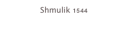 Shmulik 1544