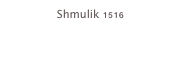 Shmulik 1516