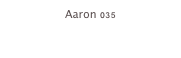 Aaron 035