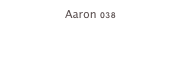 Aaron 038