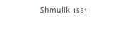 Shmulik 1561
