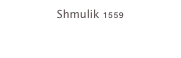 Shmulik 1559