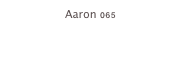 Aaron 065