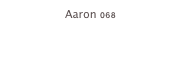 Aaron 068