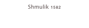 Shmulik 1582