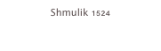 Shmulik 1524