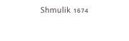 Shmulik 1674