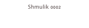 Shmulik 0002