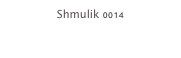 Shmulik 0014