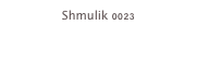 Shmulik 0023