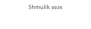 Shmulik 0026