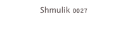 Shmulik 0027