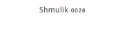 Shmulik 0028