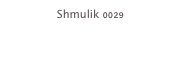 Shmulik 0029