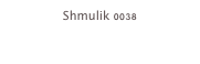 Shmulik 0038