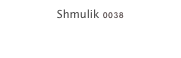 Shmulik 0038