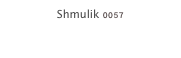 Shmulik 0057