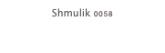 Shmulik 0058