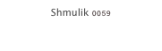 Shmulik 0059