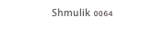 Shmulik 0064