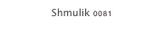 Shmulik 0081