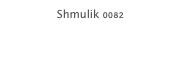 Shmulik 0082