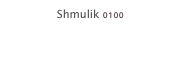 Shmulik 0100