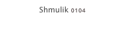 Shmulik 0104
