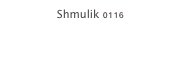 Shmulik 0116