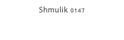Shmulik 0147
