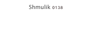 Shmulik 0138