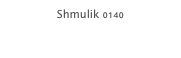 Shmulik 0140