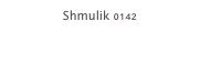 Shmulik 0142