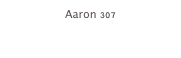 Aaron 307