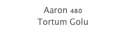 Aaron 480
Tortum Golu