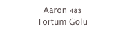 Aaron 483
Tortum Golu