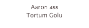 Aaron 488
Tortum Golu