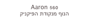 Aaron 560
הנוף מנקודת הפיקניק