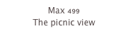 Max 499
The picnic view