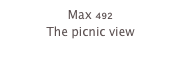 Max 492
The picnic view