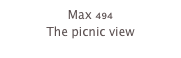 Max 494
The picnic view
