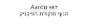 Aaron 567
הנוף מנקודת הפיקניק