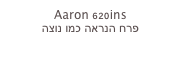 Aaron 620ins
פרח הנראה כמו נוצה
